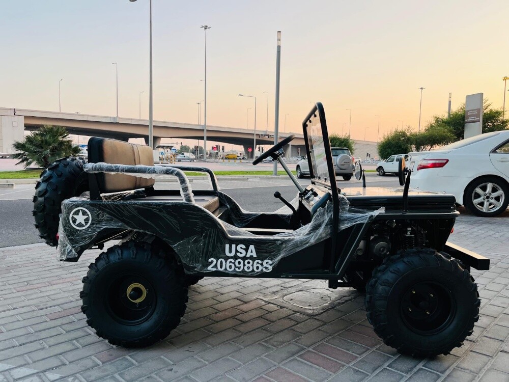 mini Jeep - 6