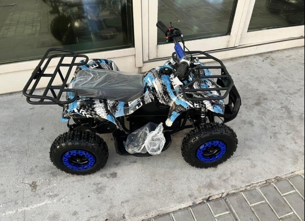 Electric Budbuda - 3