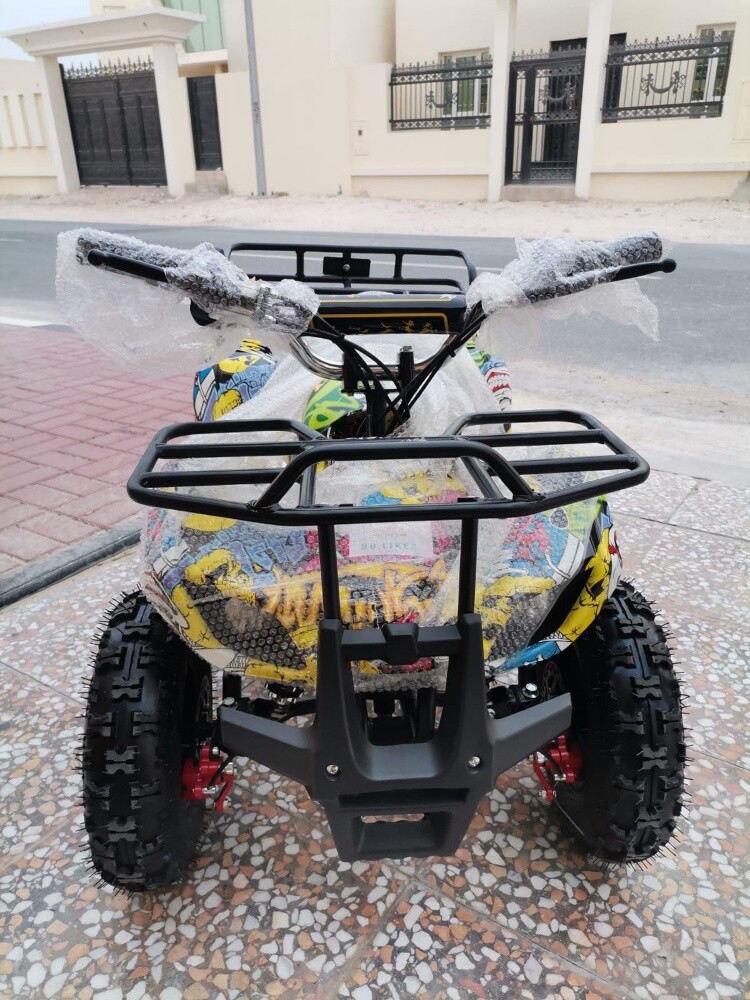 Electric Budbuda - 2