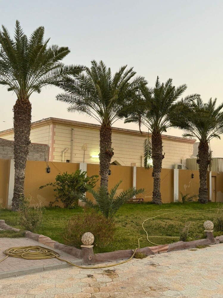 تقطيع الأشجار ونقل النخيل وزراعته - 3