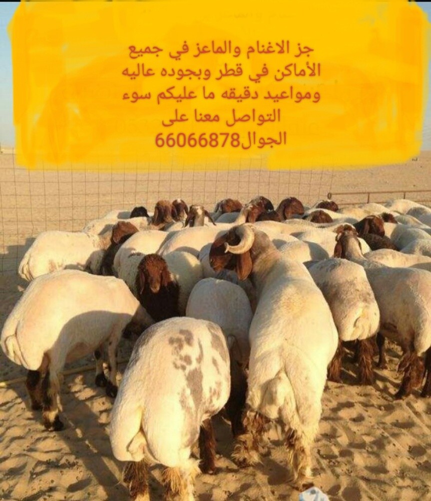 جز - 1
