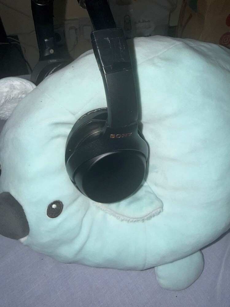 Sony WH-1000XM3 - 3