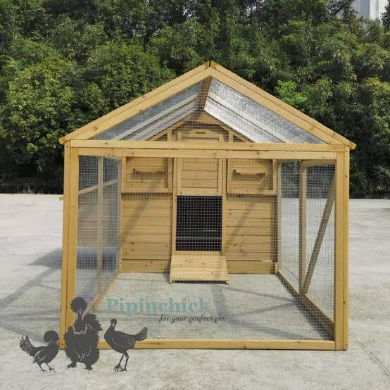 MODERN HEN COOP FOR SALE - 2
