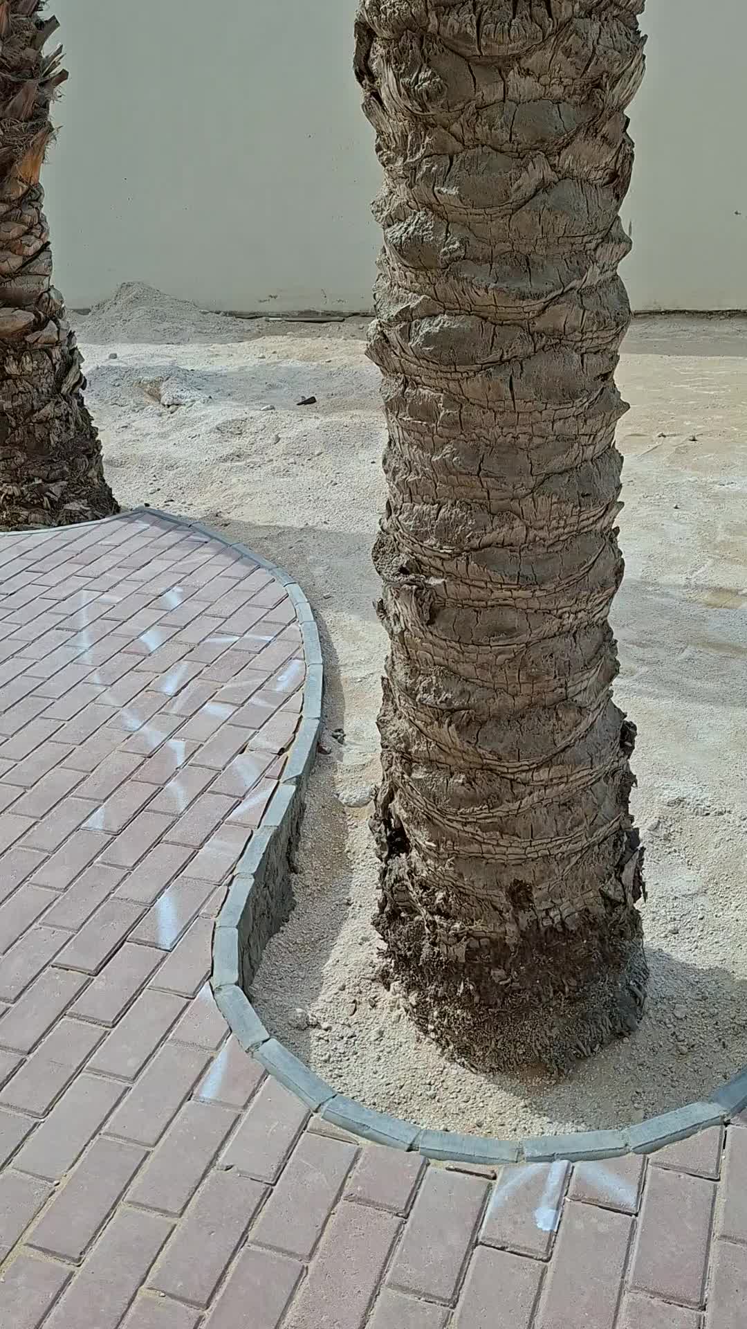 ديكورات الحدايق - 1