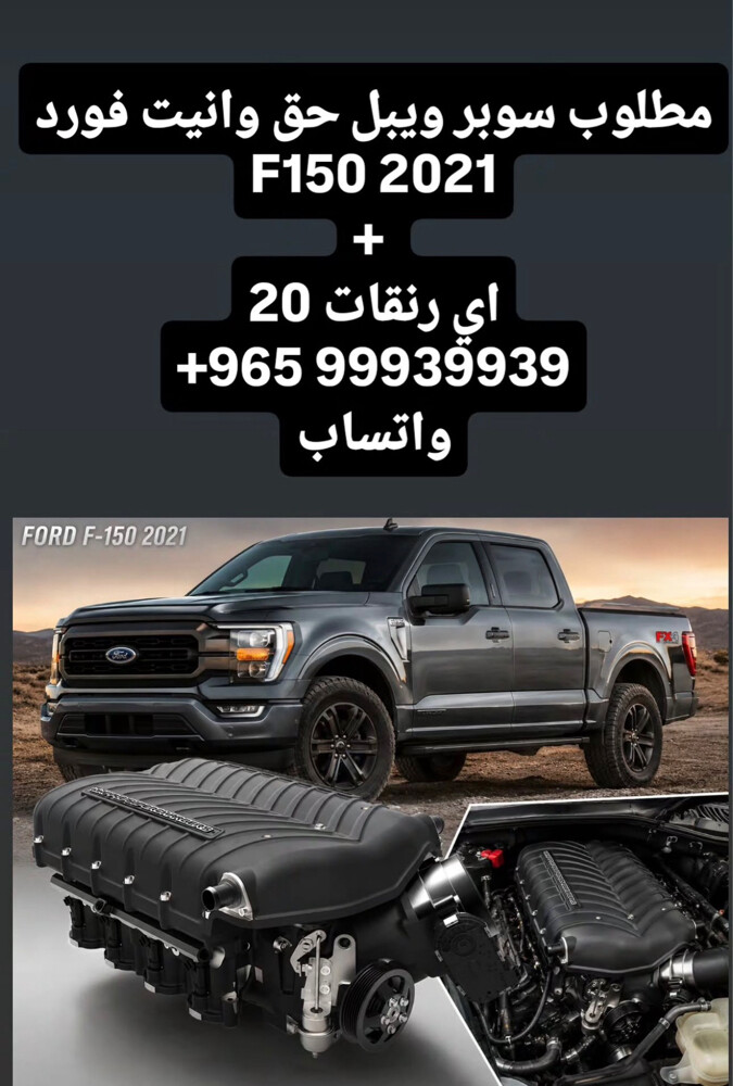 مطلوب سوبر جارج - 1