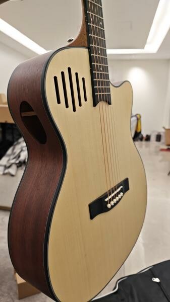 Beautiful Acoustic Guitar - 4
