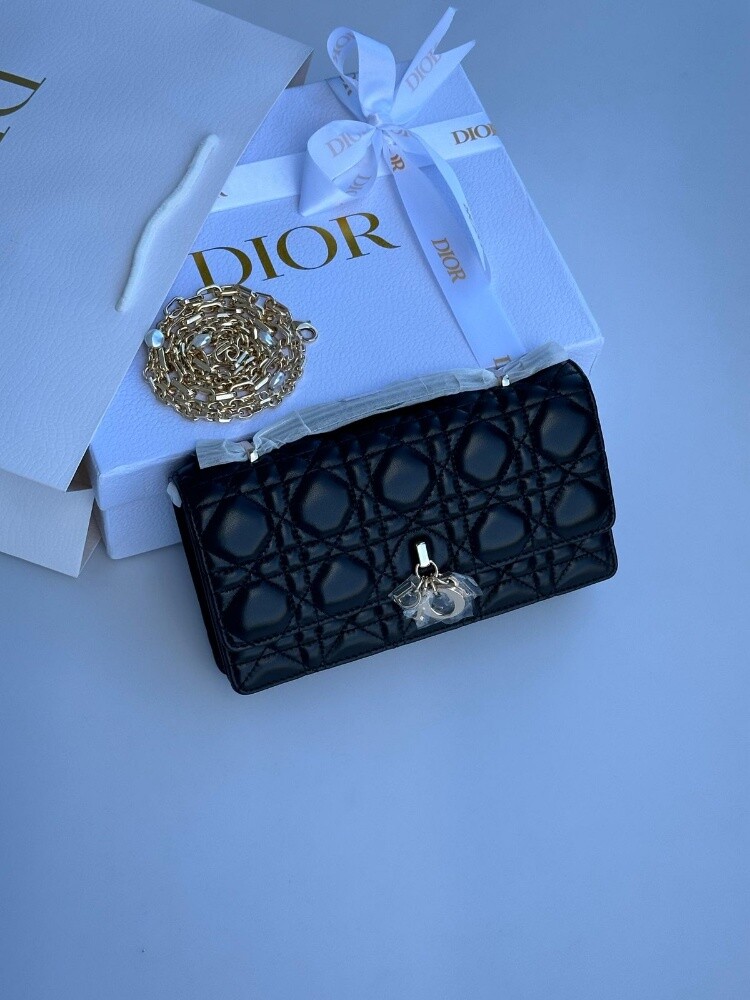 Branded Luxury Bags For Gift. - 20