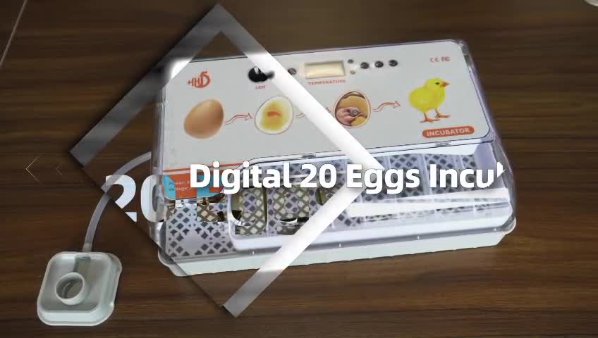 Egg incubator 20 egg Auto New - 4