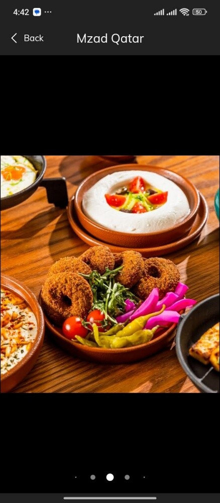 Arabic Chef - 5