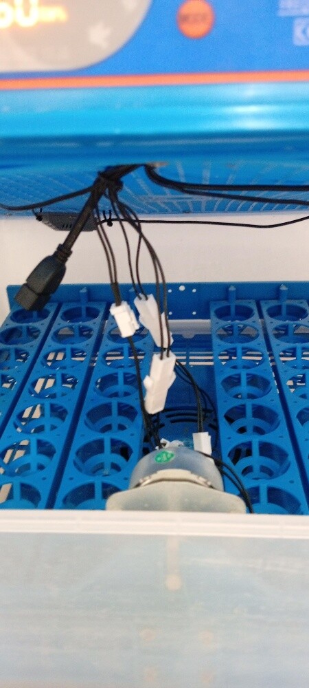 MINI INCUBATOR - 2