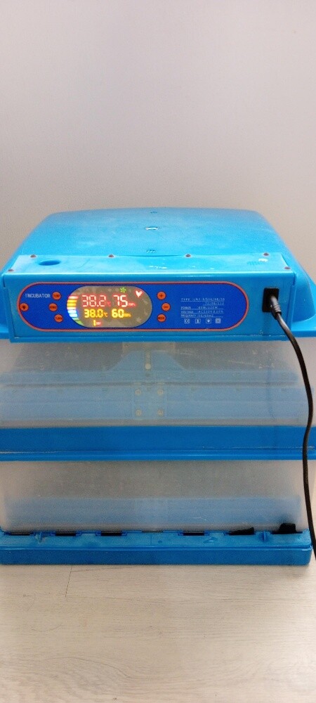 MINI INCUBATOR - 1
