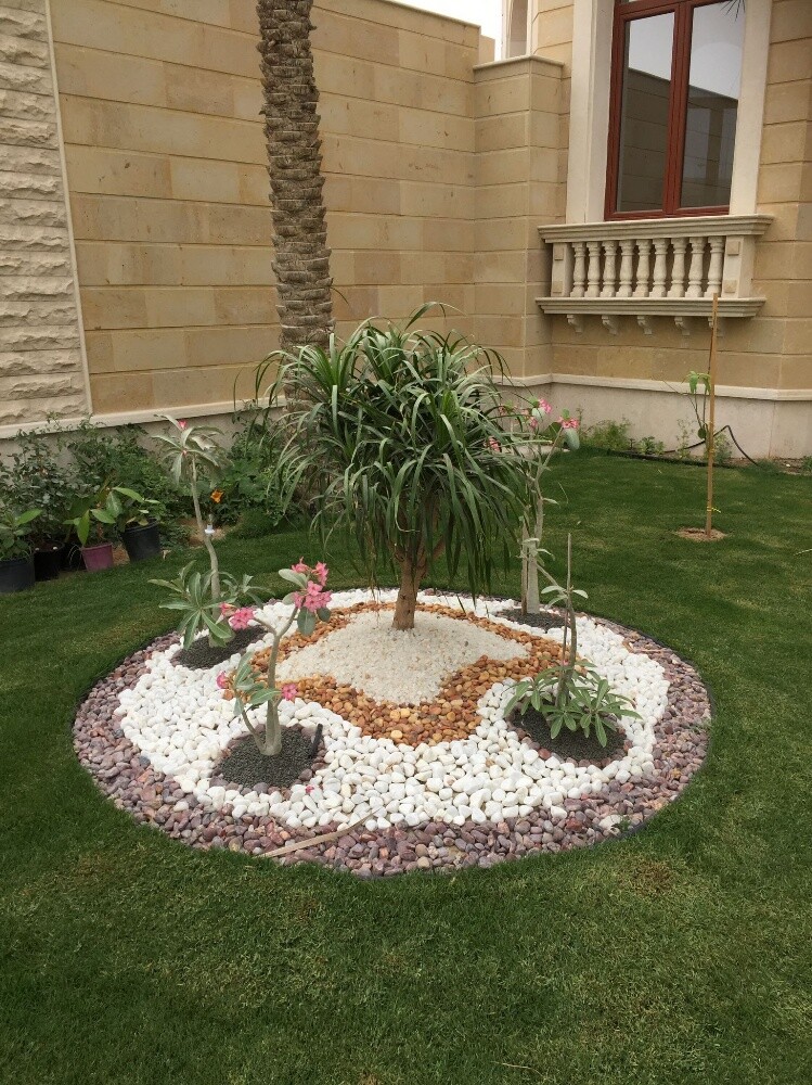 جاردن سيتى للزراعة - 3