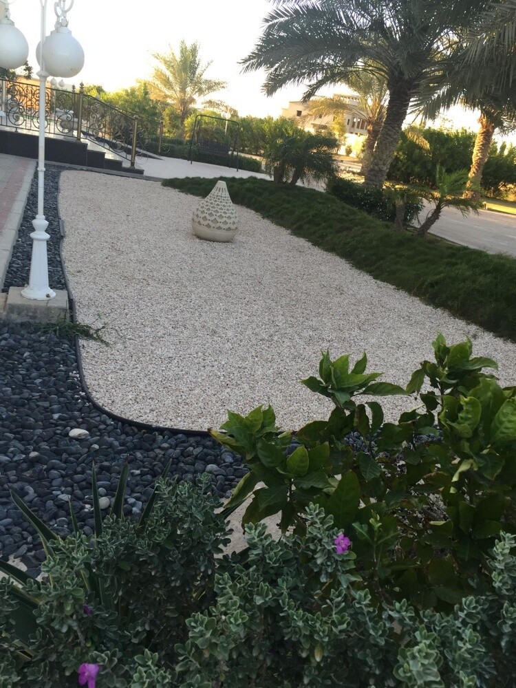 جاردن سيتى للزراعة - 12