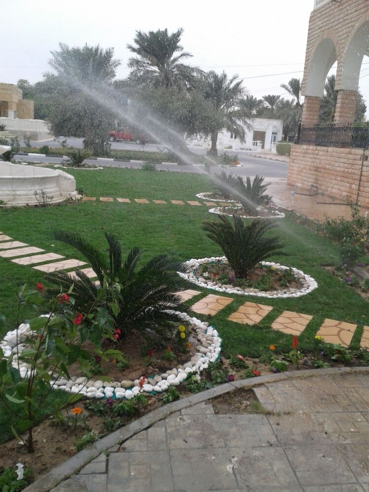 جاردن سيتى للزراعة - 11