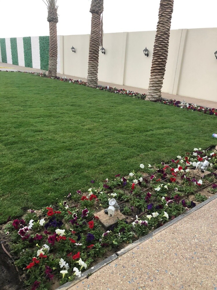 جاردن سيتى للزراعة - 5