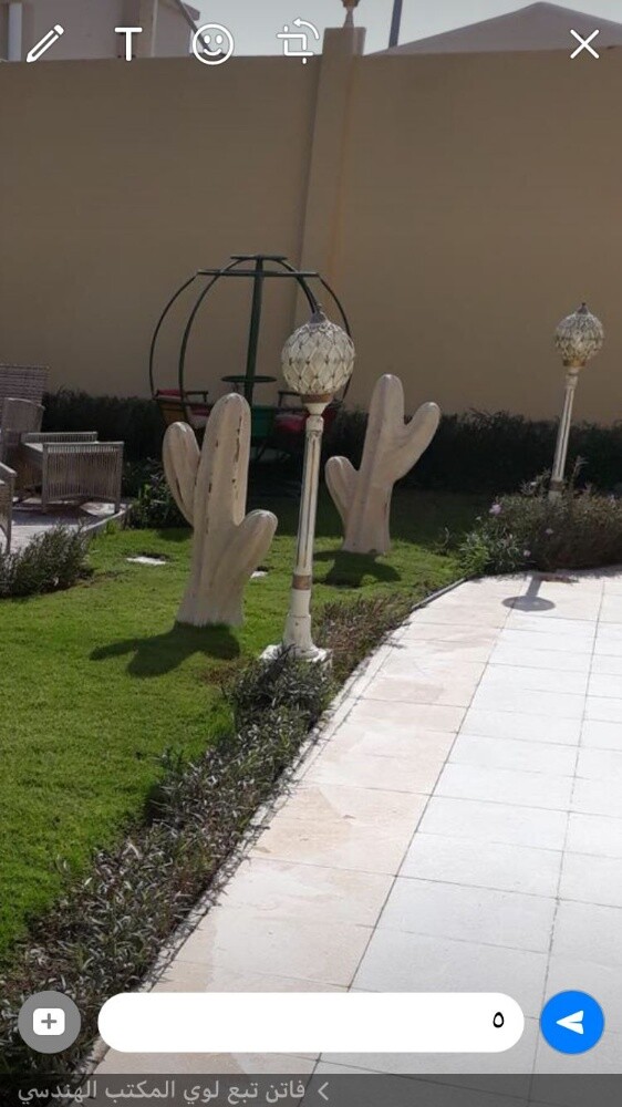جاردن سيتى للزراعة - 8