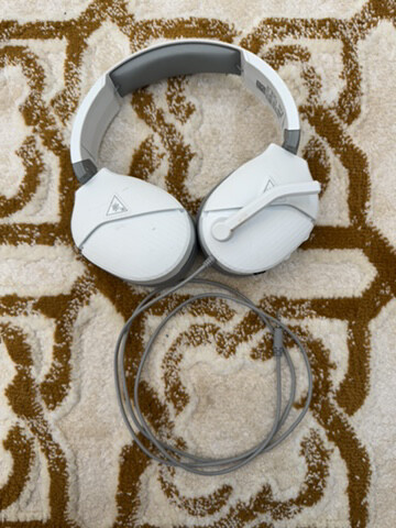 turtle beach - 1