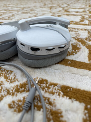 turtle beach - 2