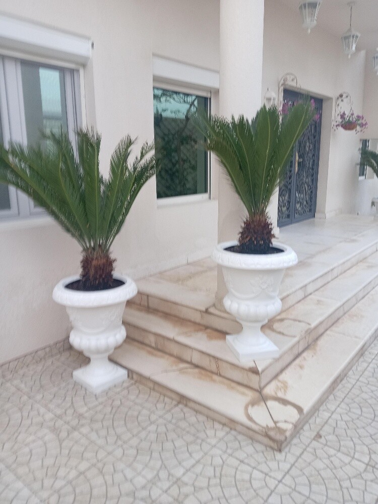 تنسيق حدائق - 11