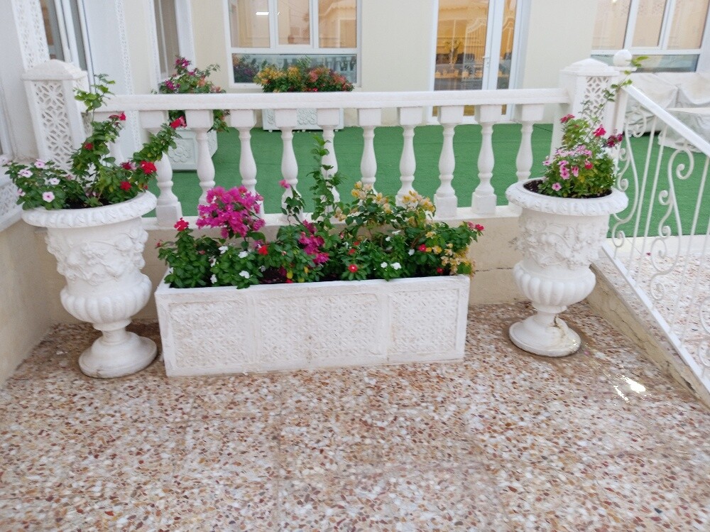 تنسيق حدائق - 6