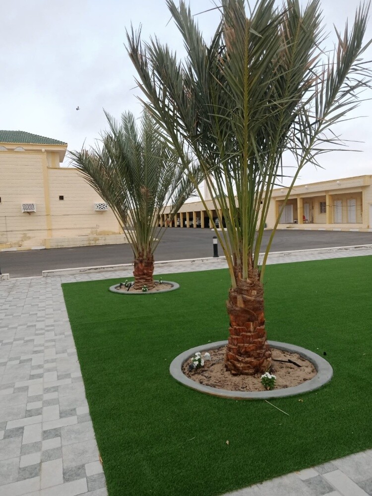 تنسيق حدائق - 19