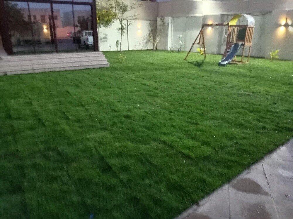 تنسيق حدائق - 12