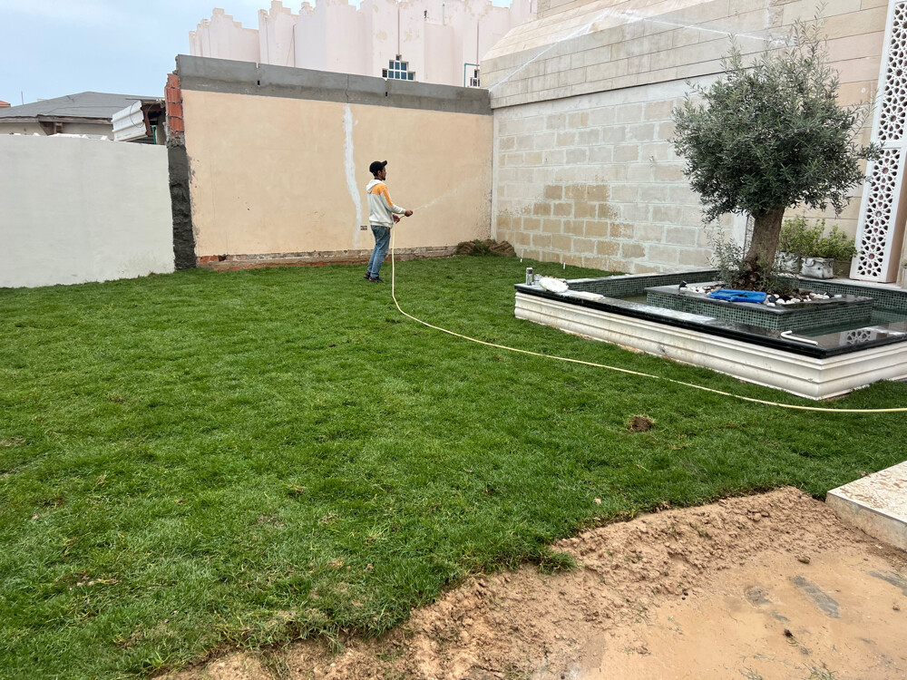 توريدوزراعه العشب الصناعي والطبيع - 3