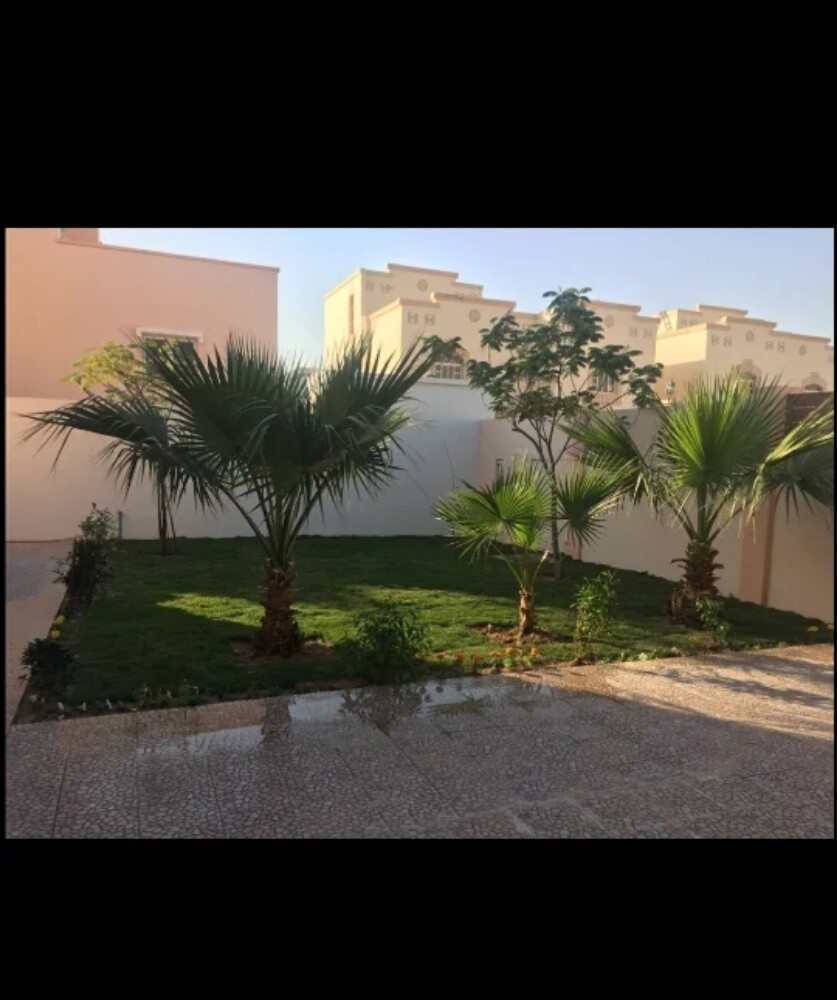 صيانة الحدائق - 7