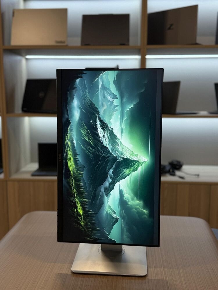 Dell Business Monitor - 3