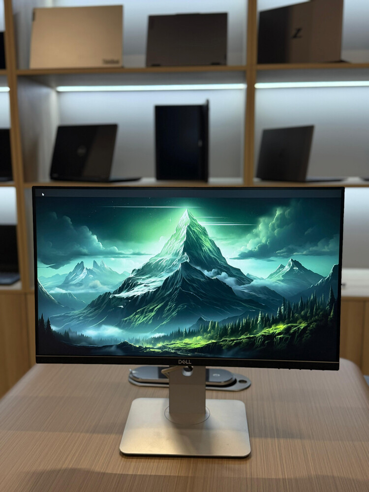 Dell Business Monitor - 1