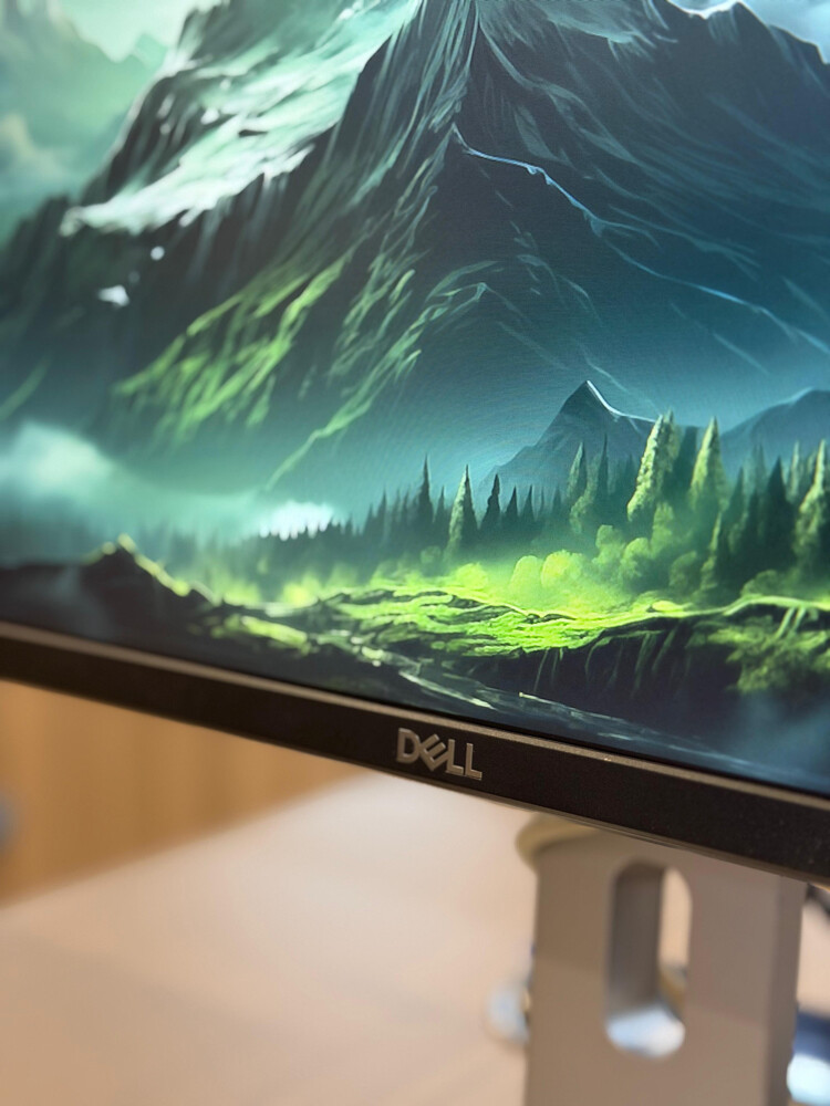 Dell Business Monitor - 5