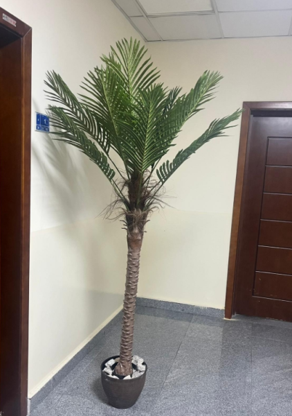 Brand new artificial palm trees - 3