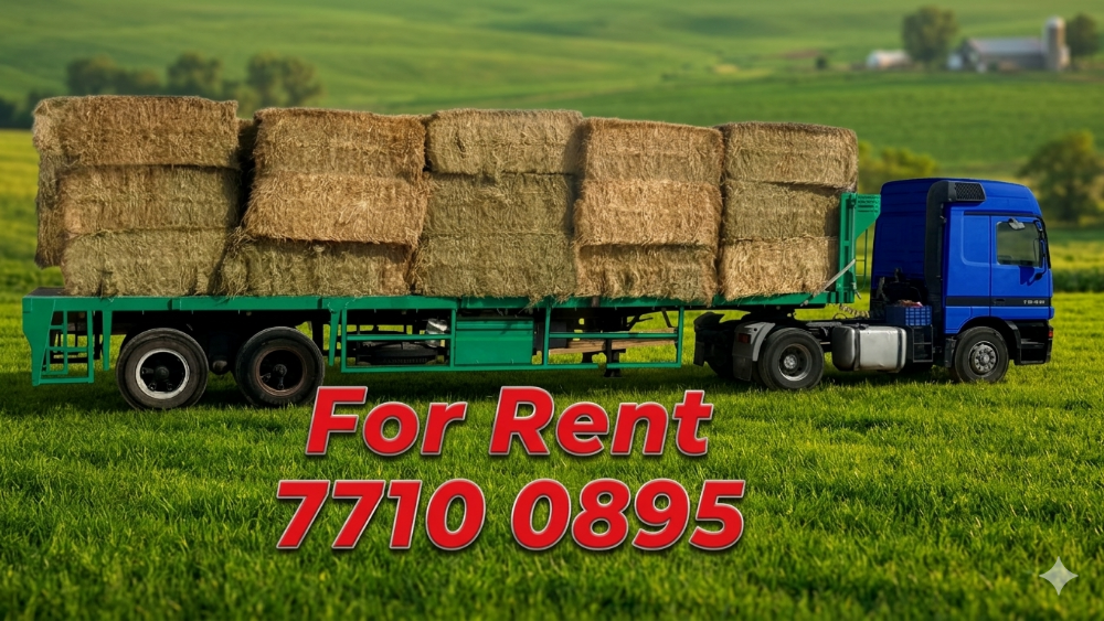 Trailer, Crane, Forklift For Rent - 8