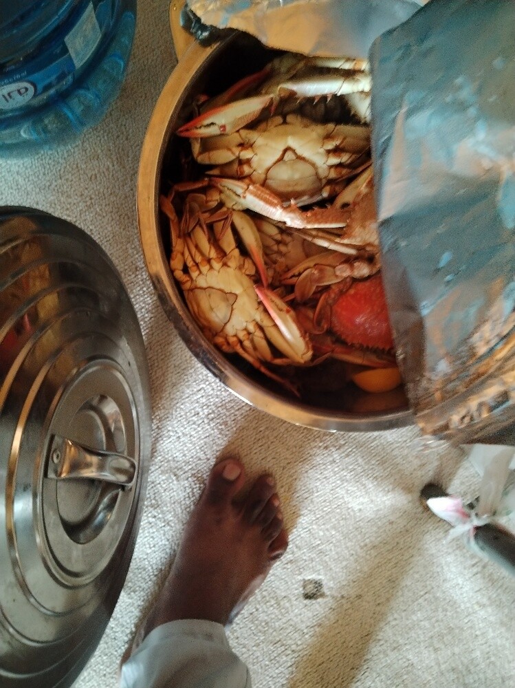 Narth Indian. cook service 55672305 - 10
