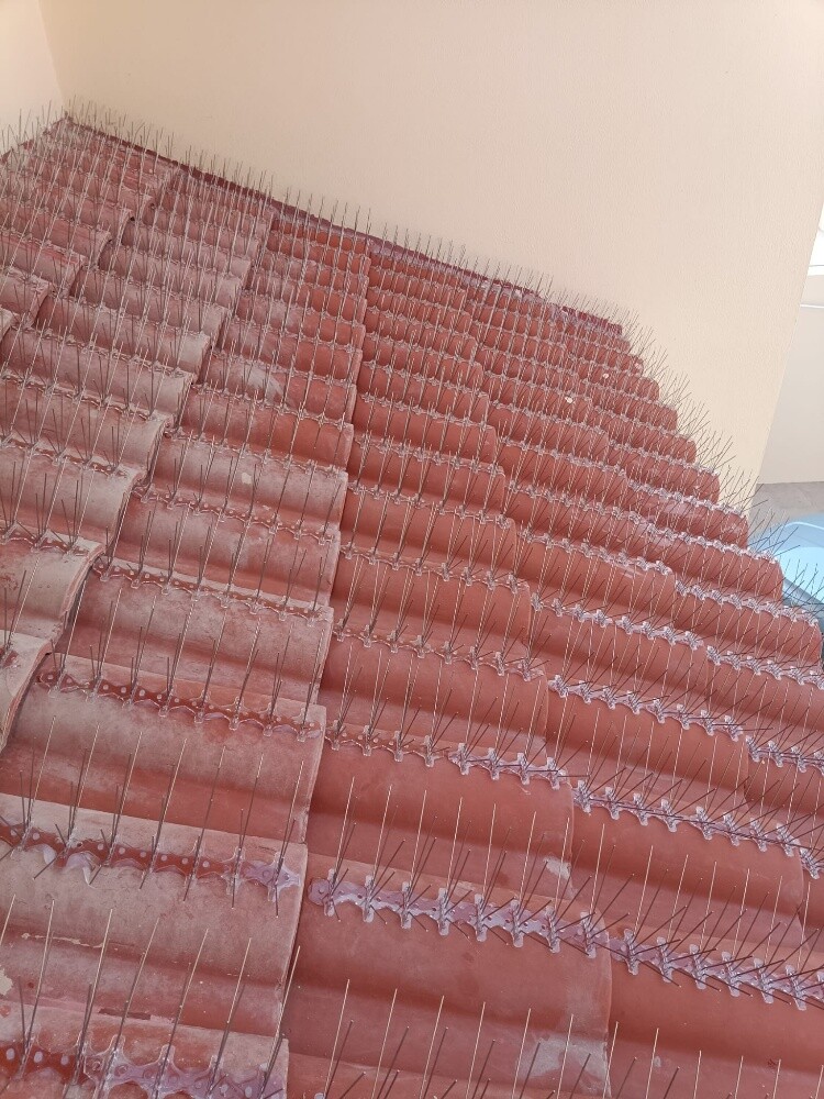 موانع الحمام 55270957 - 4
