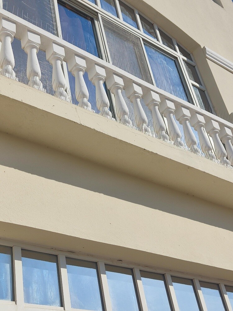 موانع الحمام 55270957 - 22