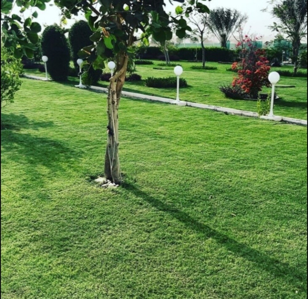 مزارع - 1