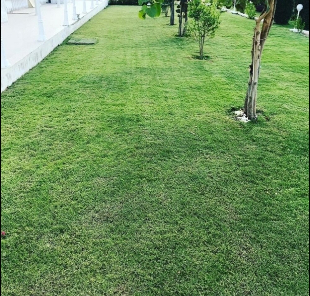 مزارع - 13
