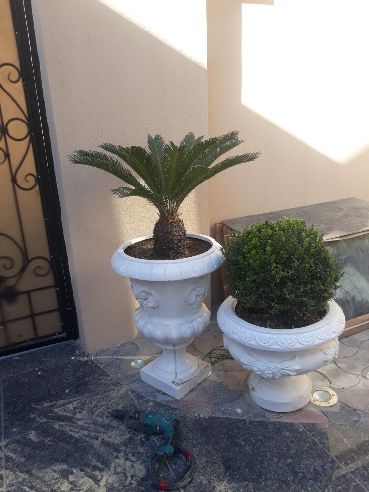 مزارع - 3