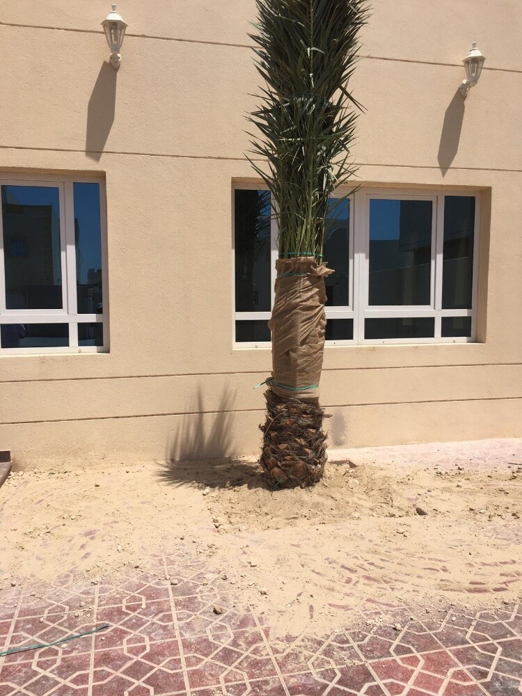 مزارع - 7