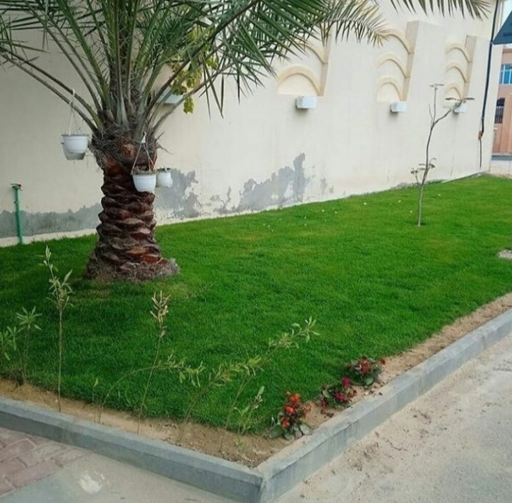 مزارع - 11
