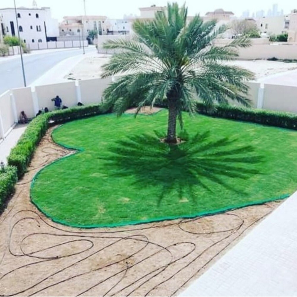 مزارع - 6