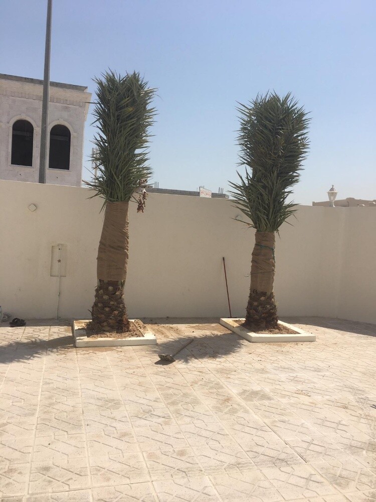 مزارع - 8