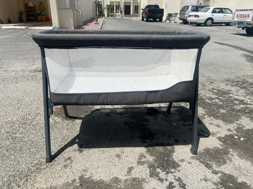 juniors theo bassinet - 1