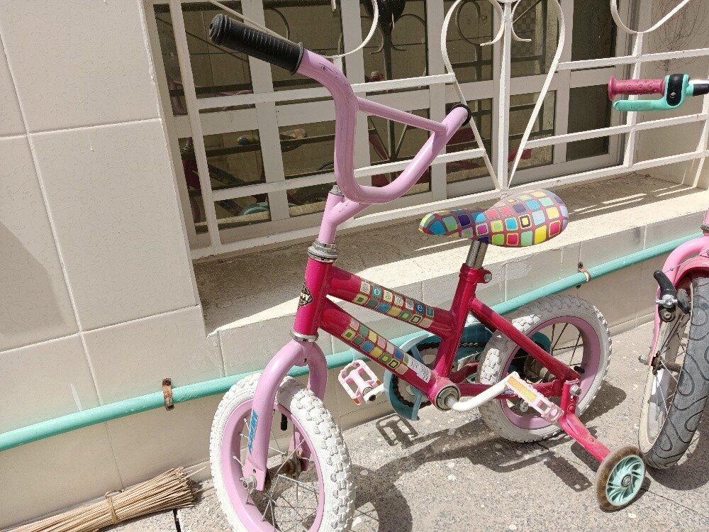 Pink Cycle for sale - 3