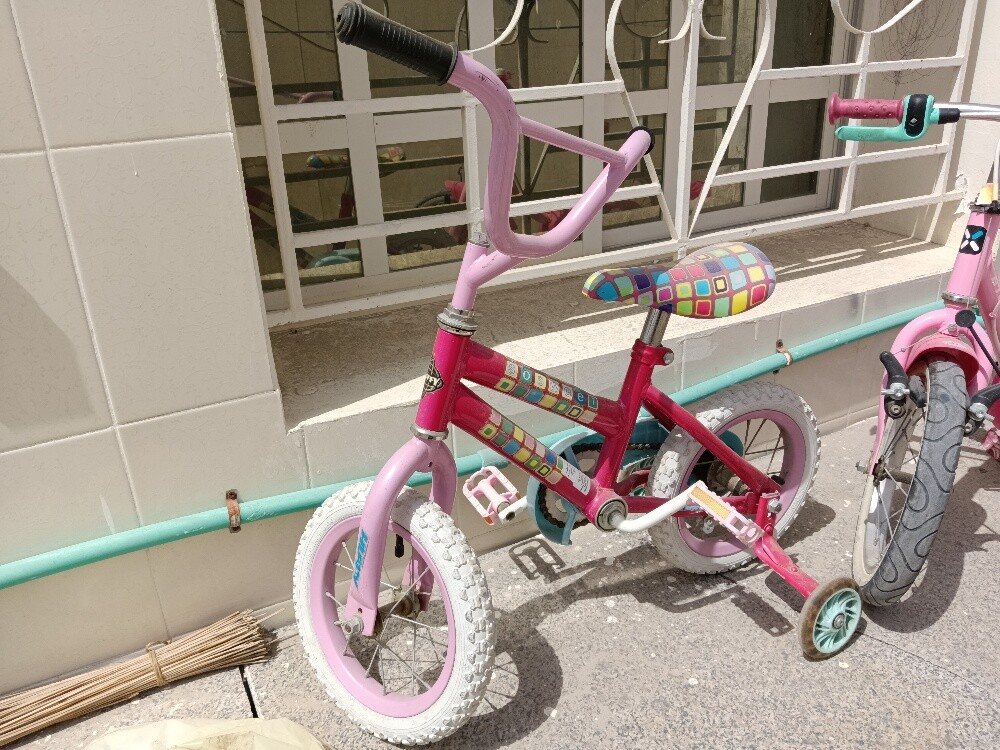 Pink Cycle for sale - 1