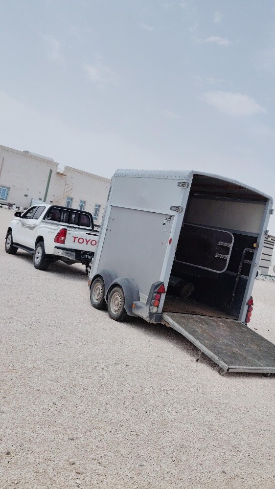 horse transport...74016017 - 1
