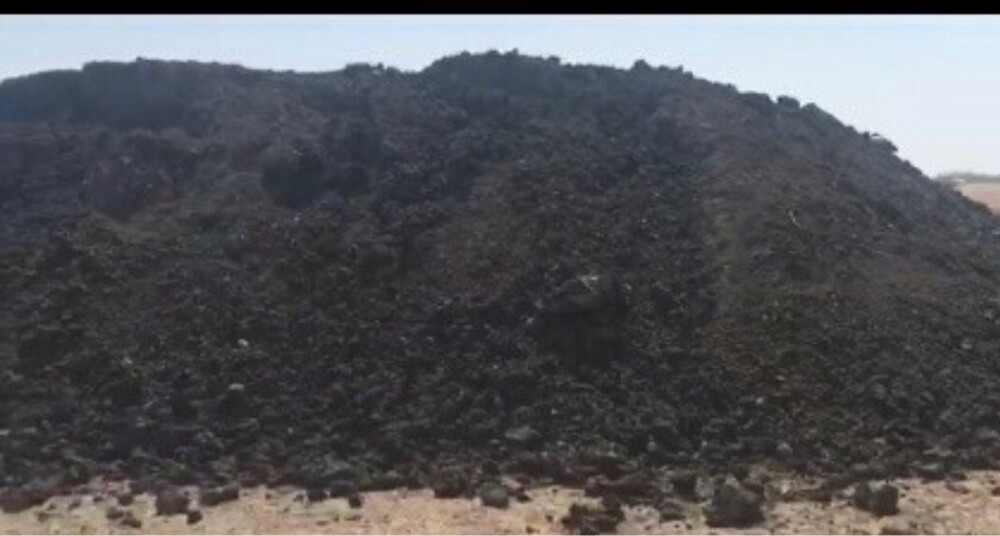 سماد عضوي - 1