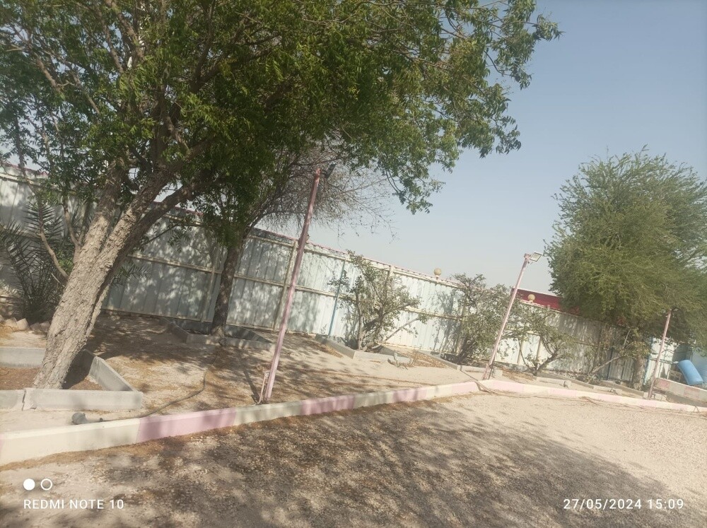 قطع الأشجار ونقل النخيل وزراعته - 5
