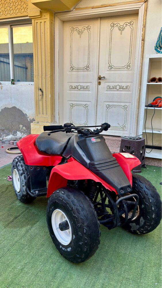 Suzuki LT80 for sale - 1